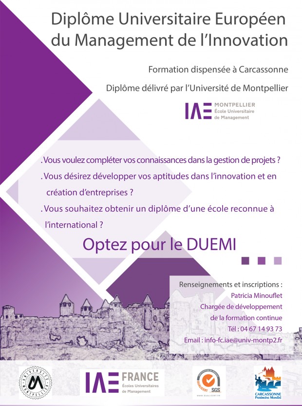 Diplôme Universitaire Européen du Management de l'Innovation